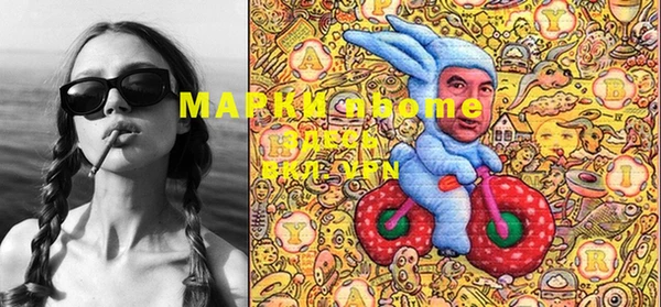 индика Алзамай